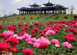 五一小长假 大同市旅游开启旺季模式